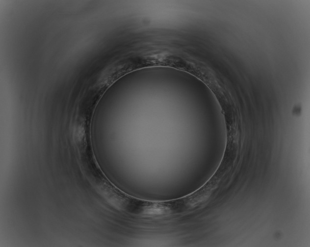 X0000096710754200802121225