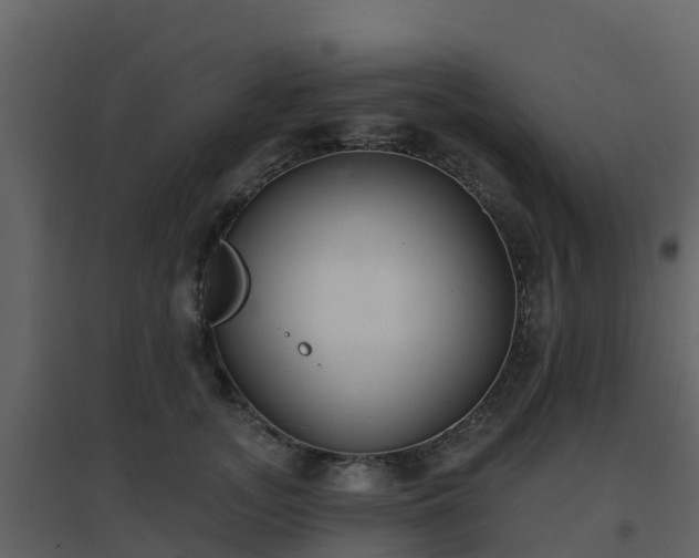 X0000096710755200802121225