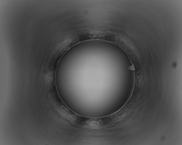 X0000096710756200802121225