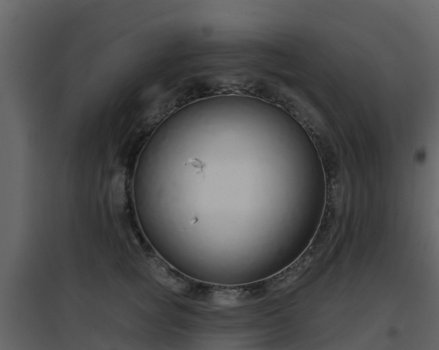 X0000096710757200802121225