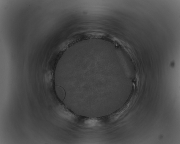 X0000096710759200802121225