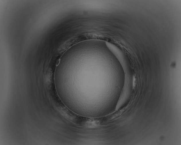 X0000096710760200802121225