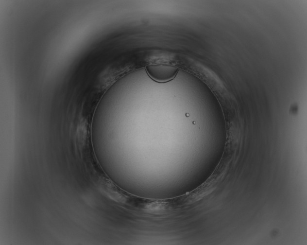 X0000096710761200802121225