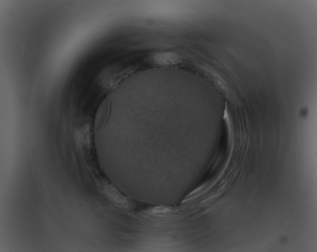 X0000096710762200802121225