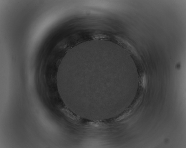 X0000096710763200802121225