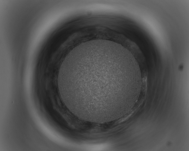 X0000096710765200802121225