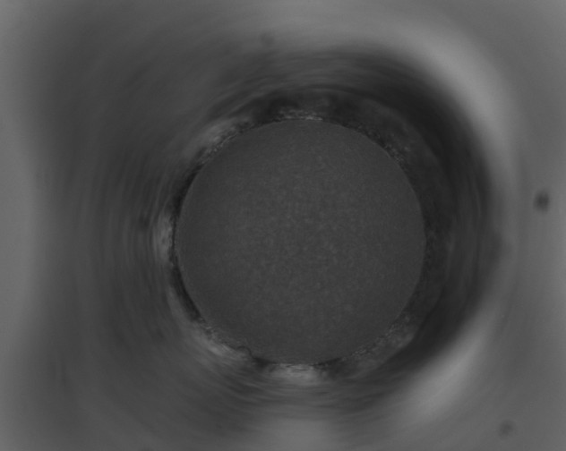 X0000096710767200802121225