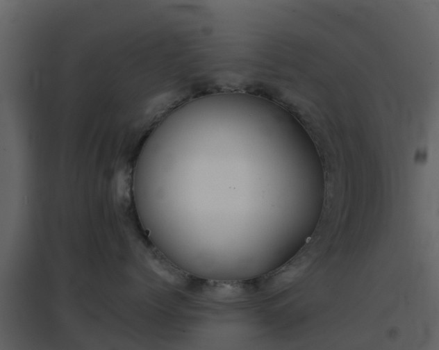 X0000096710768200802121225