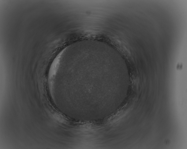 X0000096710769200802121224