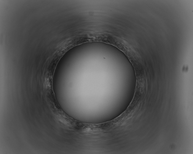 X0000096710770200802121224