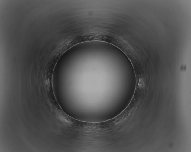 X0000096710771200802121224