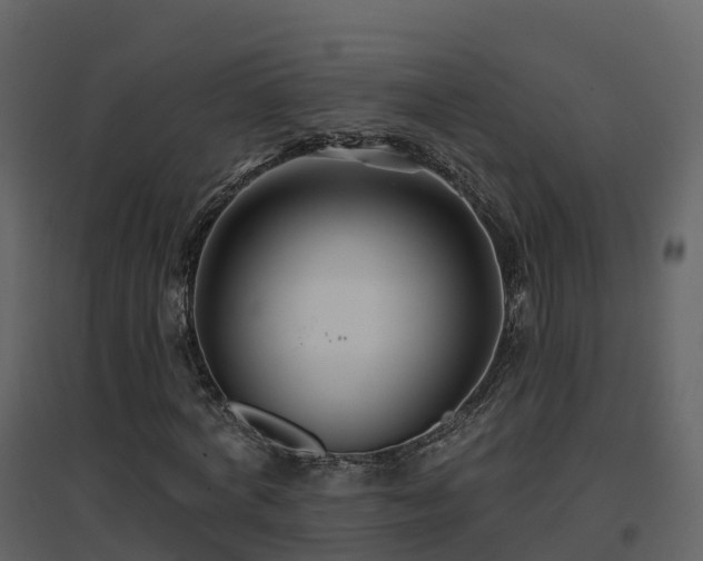 X0000096710772200802121224