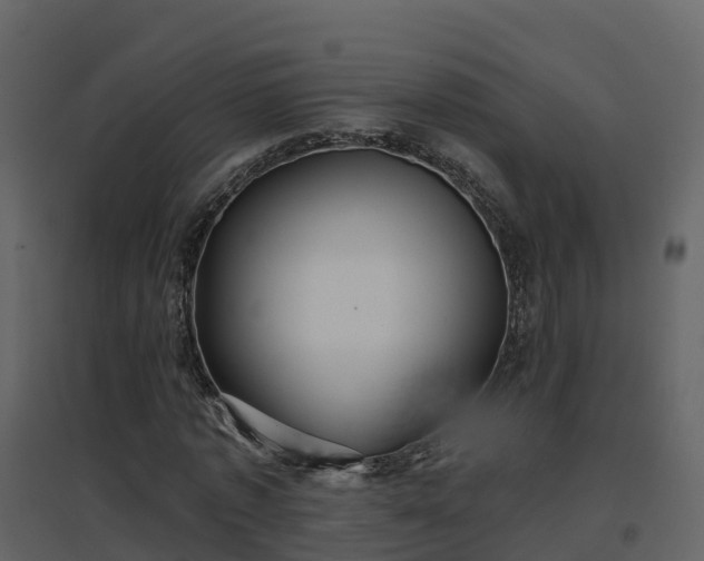 X0000096710773200802121224