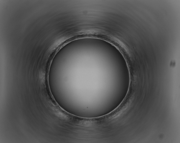 X0000096710778200802121224