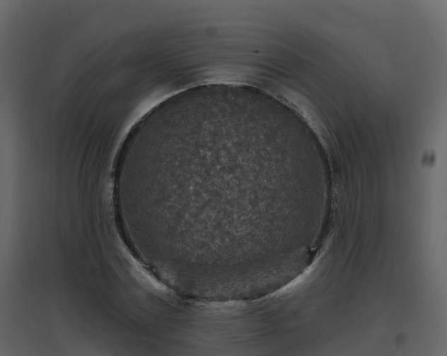 X0000096710779200802121224