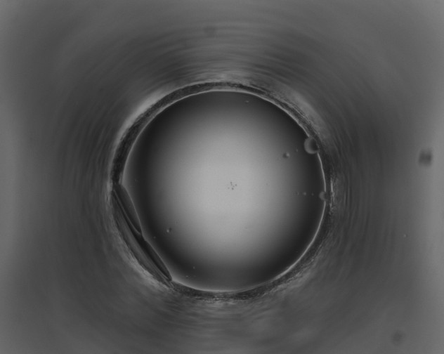 X0000096710780200802121224