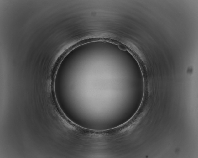 X0000096710781200802121224