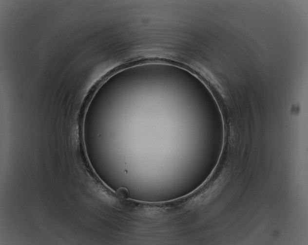 X0000096710782200802121224