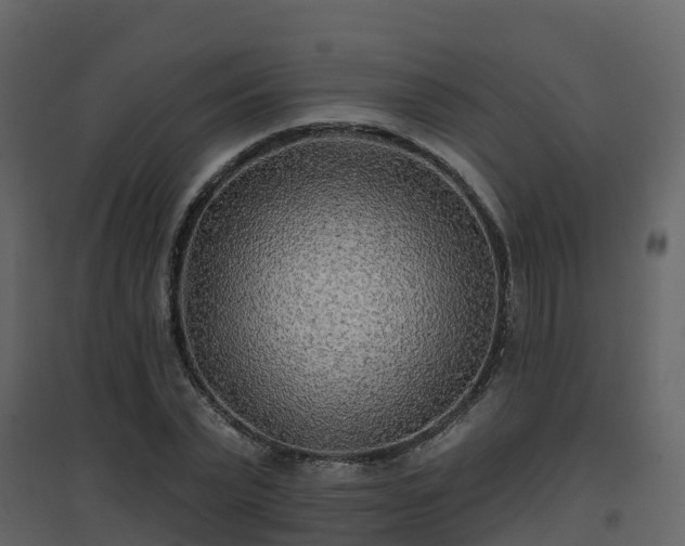 X0000096710783200802121224