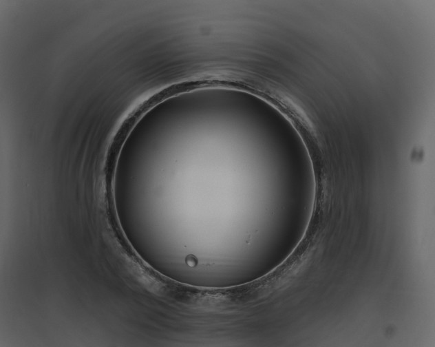 X0000096710784200802121224