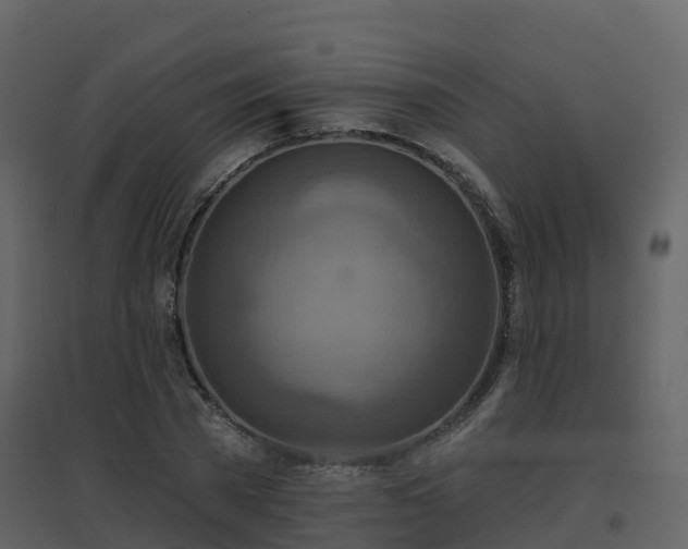 X0000096710785200802121224