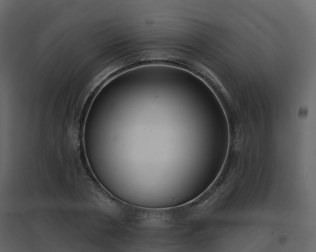 X0000096710786200802121224