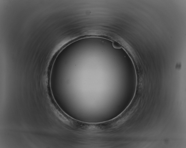 X0000096710787200802121224