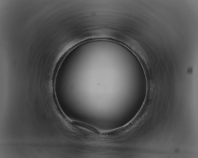 X0000096710789200802121224