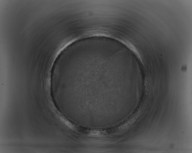 X0000096710790200802121224