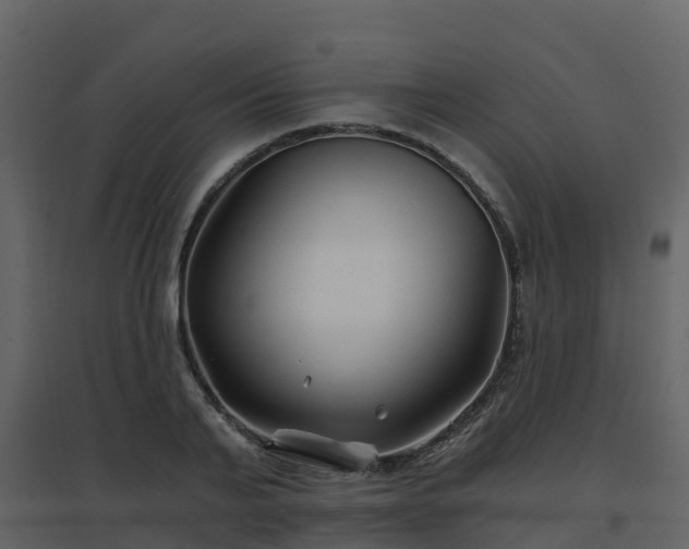 X0000096710791200802121224