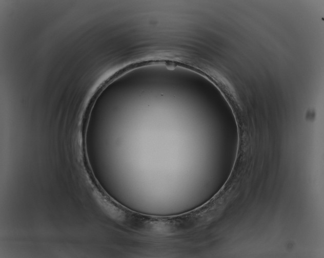 X0000096710792200802121224