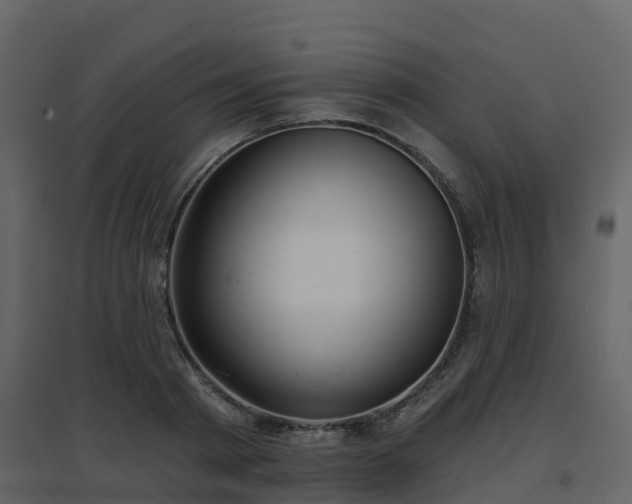 X0000096710793200802121224