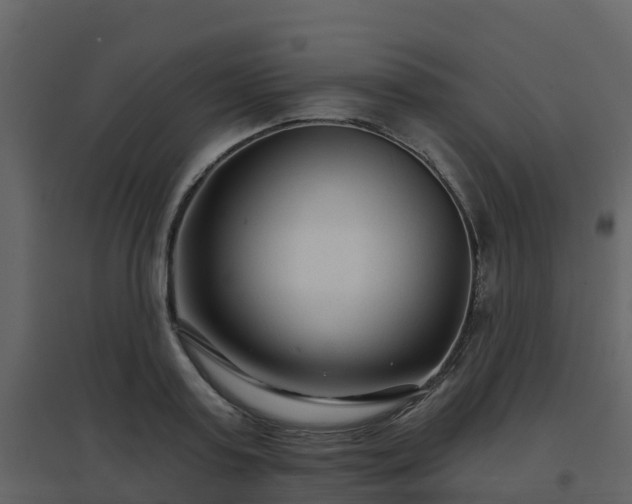 X0000096710795200802121224