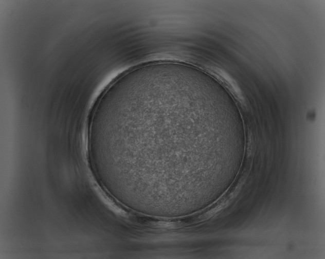 X0000096710796200802121224