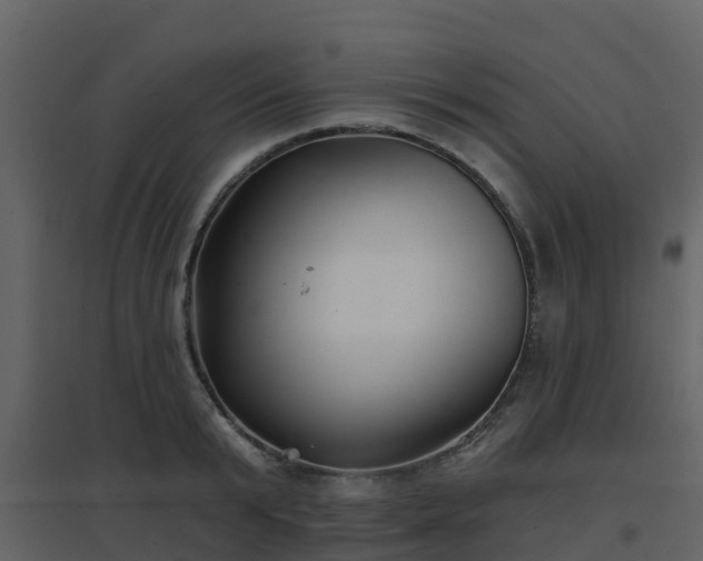 X0000096710799200802121224