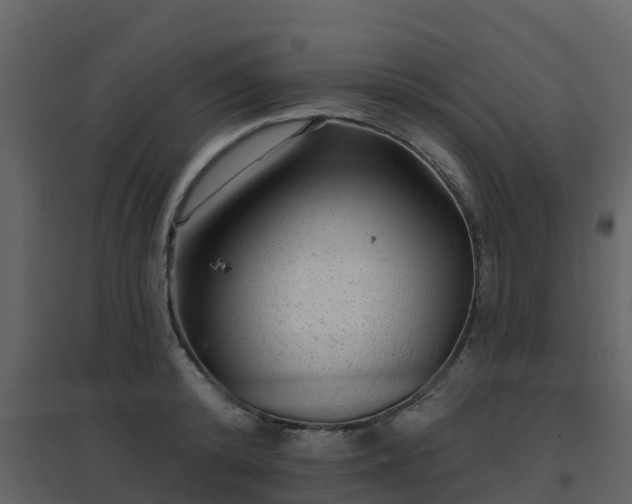 X0000096710800200802121224