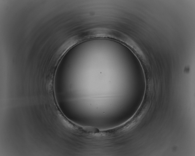 X0000096710801200802121224