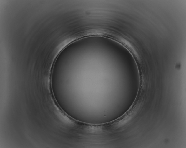 X0000096710802200802121224