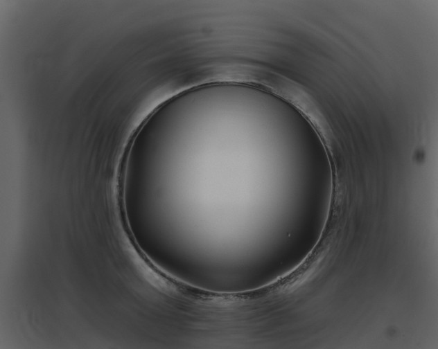 X0000096710803200802121224