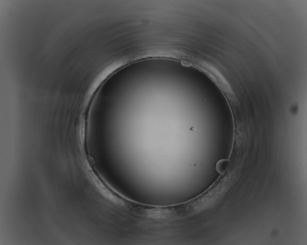 X0000096710804200802121224