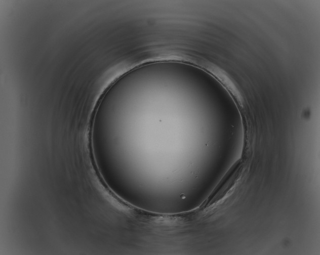 X0000096710805200802121224