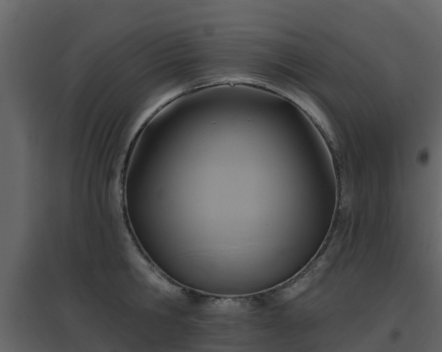 X0000096710806200802121224