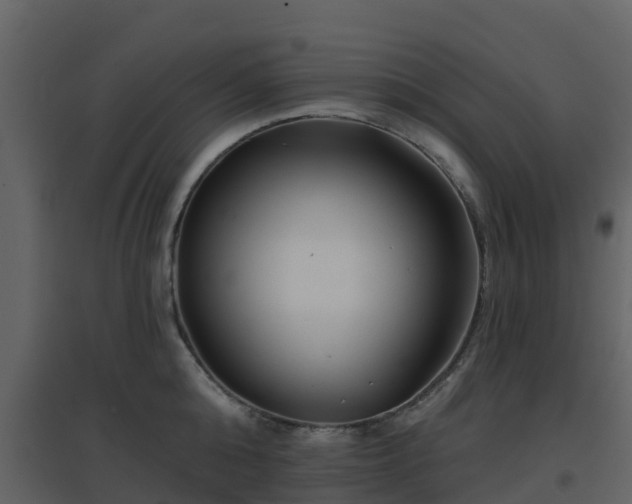 X0000096710808200802121224