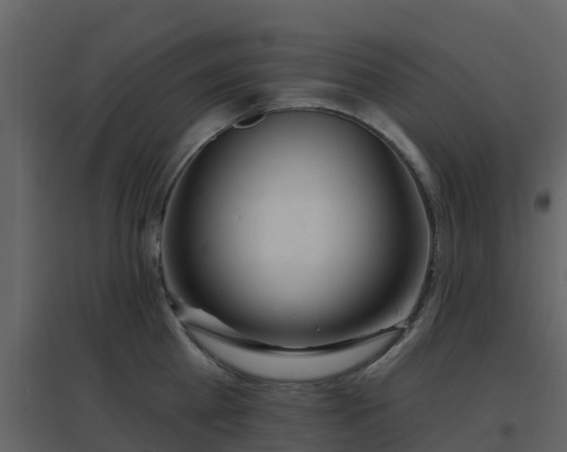 X0000096710809200802121224