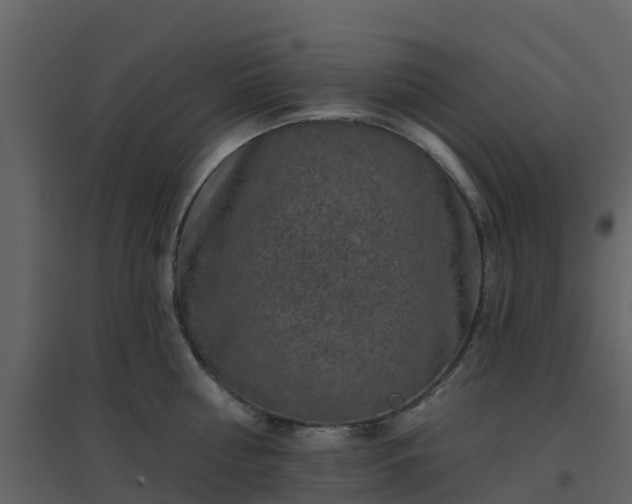 X0000096710810200802121224