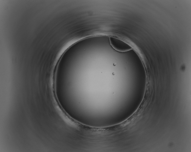 X0000096710811200802121224