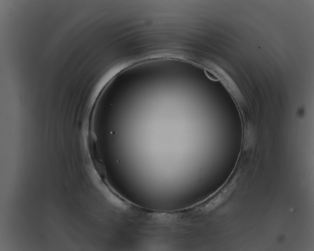 X0000096710812200802121224