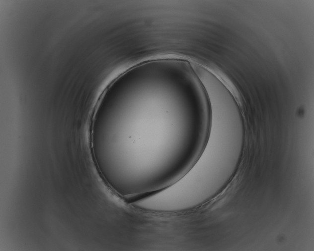 X0000096710813200802121224