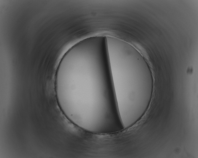 X0000096710816200802121224