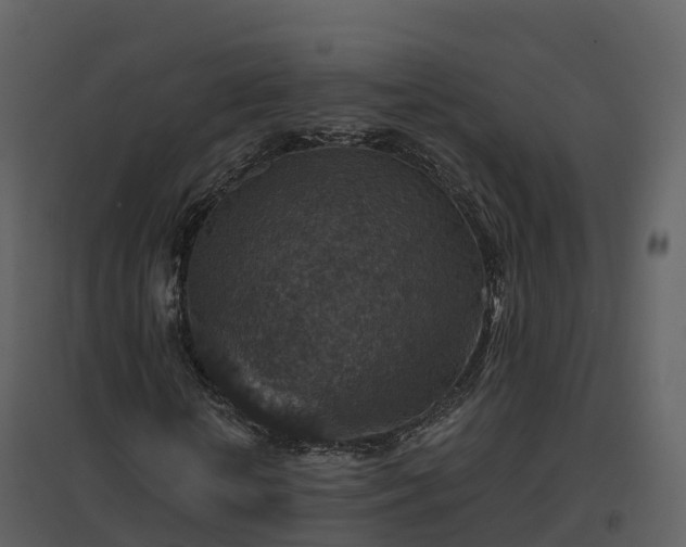 X0000096710818200802121223